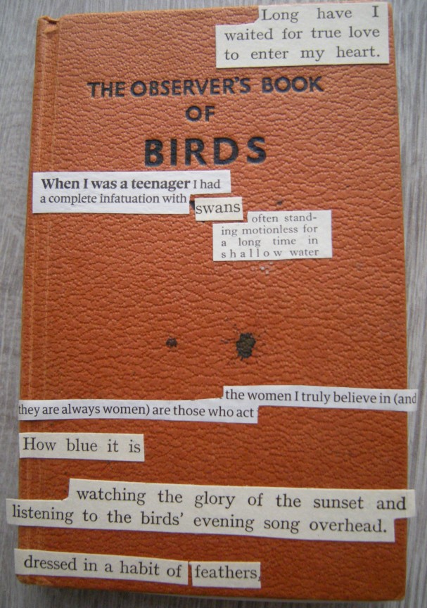 Observers book of birds.jpg
